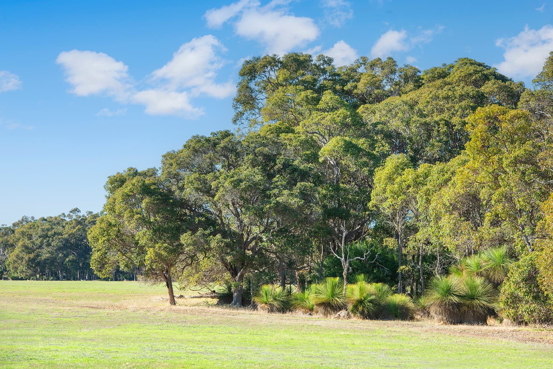 Biddle Ridge image 1