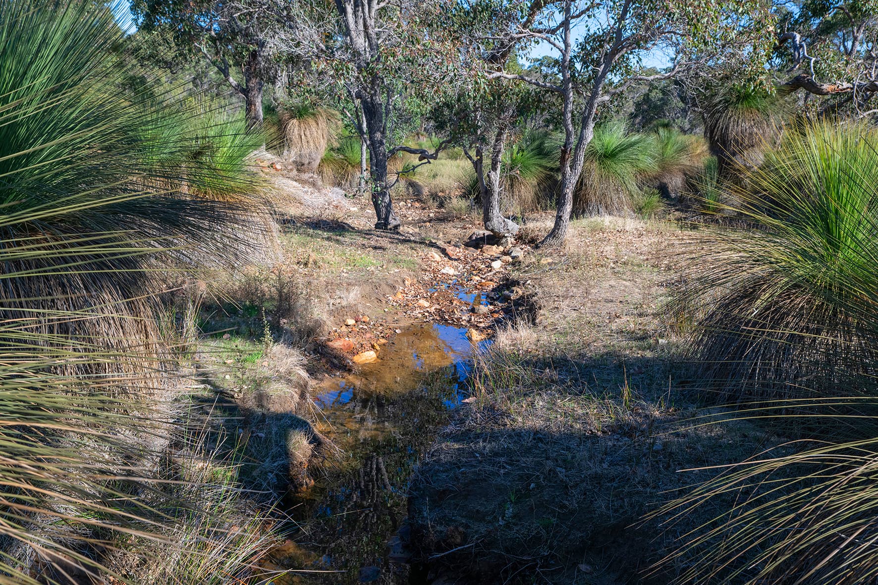 Biddle Ridge image 6