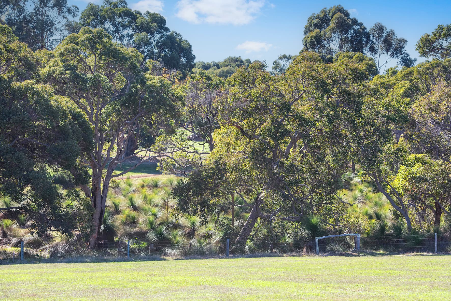Biddle Ridge image 8